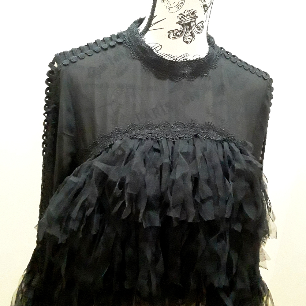 Chic sheer blouse